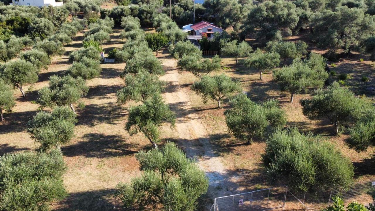 Olea Cottage Galatás Exteriér fotografie