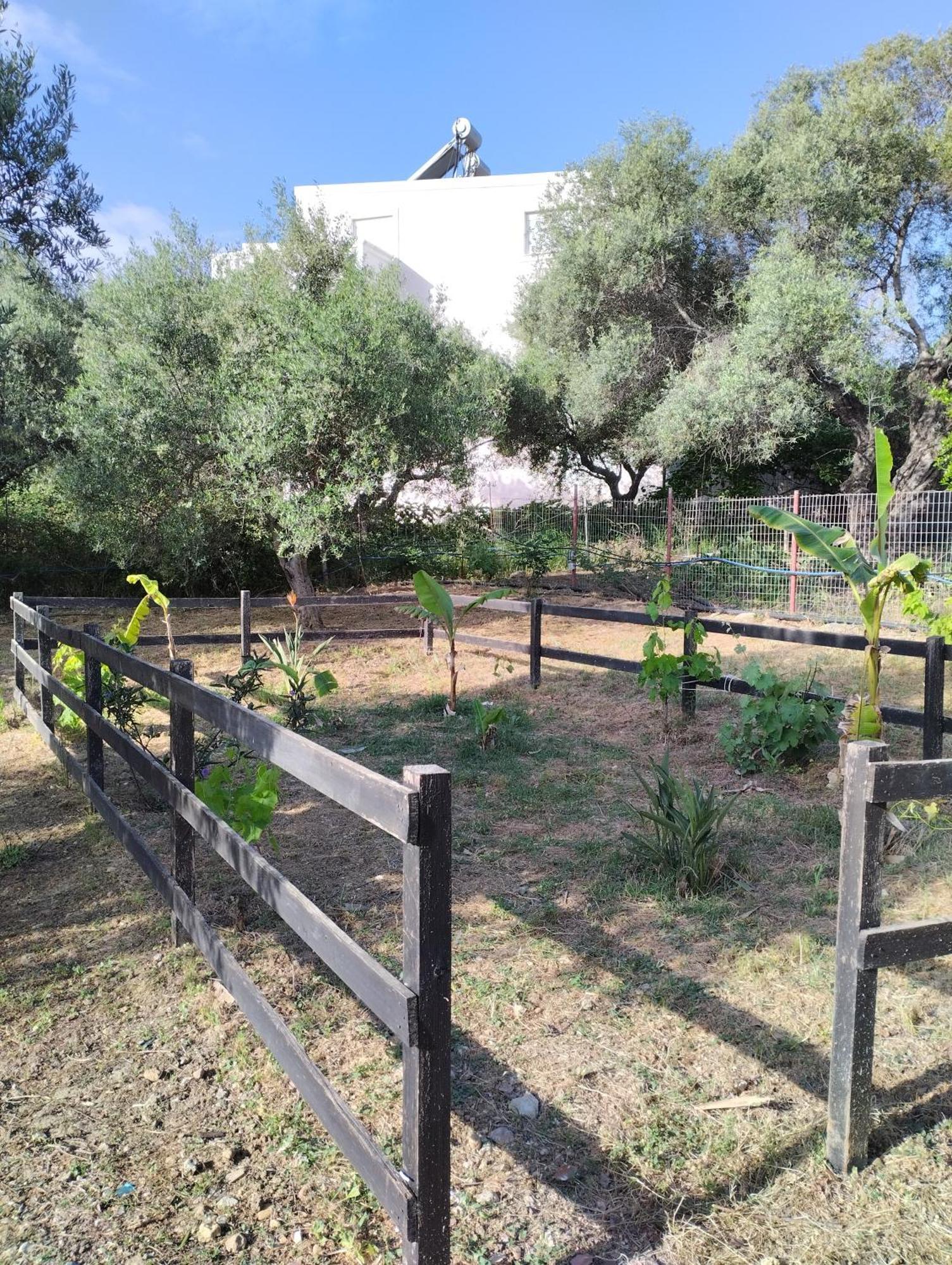 Olea Cottage Galatás Exteriér fotografie